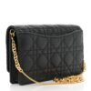 Supple Calfskin Caro Pouch with Chain Black