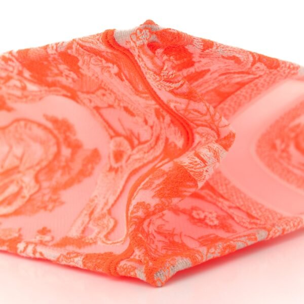 Transparent Canvas Embroidered Medium Dioriviera Toile De Jouy Book Tote