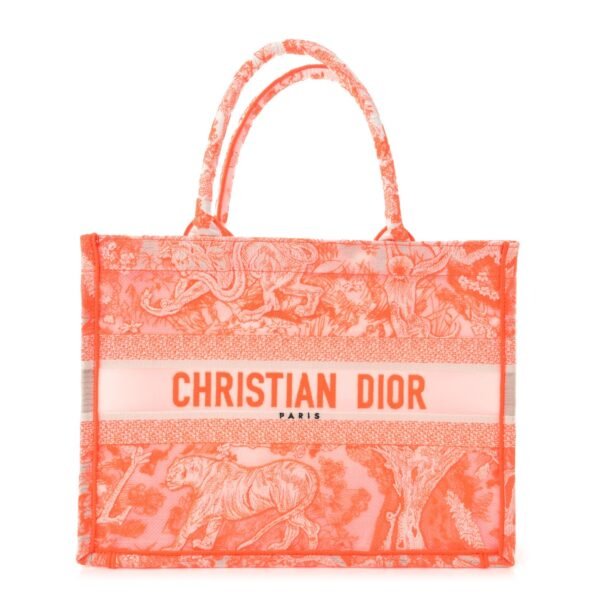 Transparent Canvas Embroidered Medium Dioriviera Toile De Jouy Book Tote