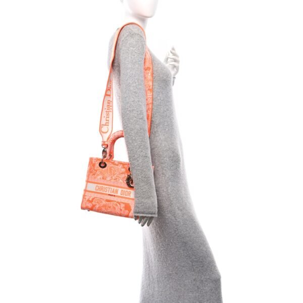 9bc4ca77738ca0c14b6097a3fbf8519a.jpg Canvas Toile De Jouy Reverse Embroidered Medium Lady D-Lite Fluorescent Orange