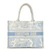 Canvas Embroidered Medium Dioriviera Toile De Jouy Book Tote Light Blue