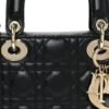 Lambskin Cannage Small My ABCDior Lady Dior Black