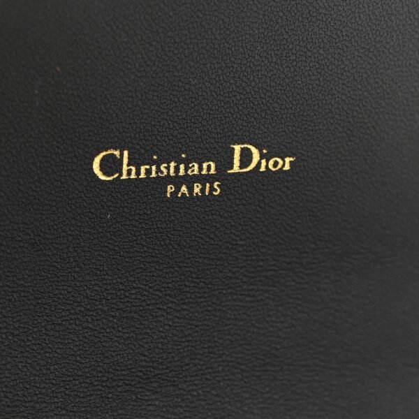 Supple Calfskin Caro Pouch with Chain Black