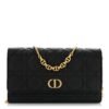 Supple Calfskin Caro Pouch with Chain Black