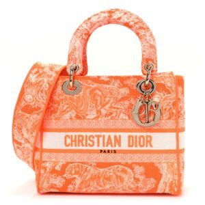 e1bb2618fa4b4d54c3034ddc87a8cfc3.jpg Canvas Toile De Jouy Reverse Embroidered Medium Lady D-Lite Fluorescent Orange