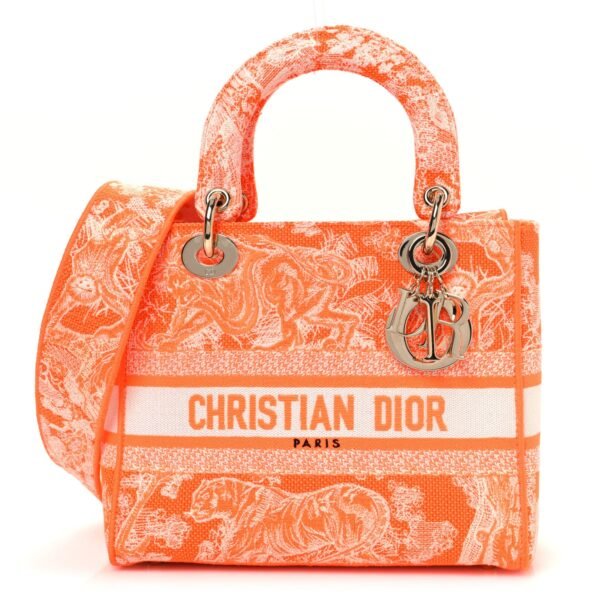 e1bb2618fa4b4d54c3034ddc87a8cfc3.jpg Canvas Toile De Jouy Reverse Embroidered Medium Lady D-Lite Fluorescent Orange