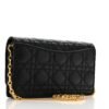 Supple Calfskin Caro Pouch with Chain Black