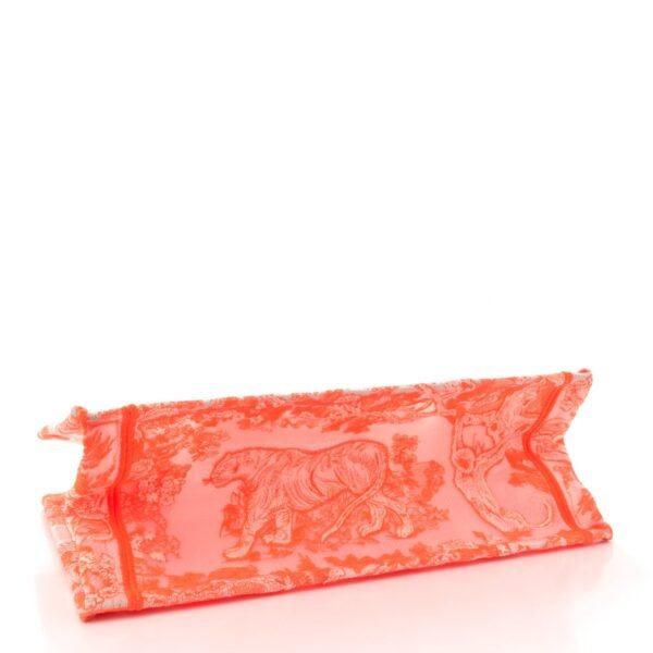 Transparent Canvas Embroidered Medium Dioriviera Toile De Jouy Book Tote